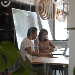 Lokale partners